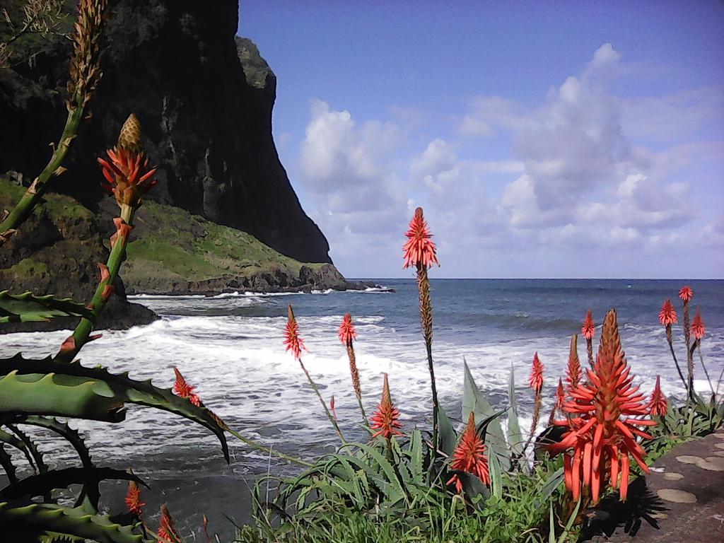 Vivenda Linda Vista * Porto Da Cruz